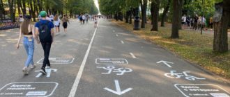 В Приморском парке Санкт-Петербурга появилась разметка от Whoosh